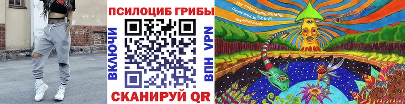 Псилоцибиновые грибы Psilocybe Большой Камень