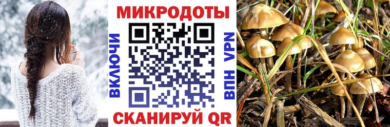 Псилоцибиновые грибы прущие грибы  Купить  Большой Камень 